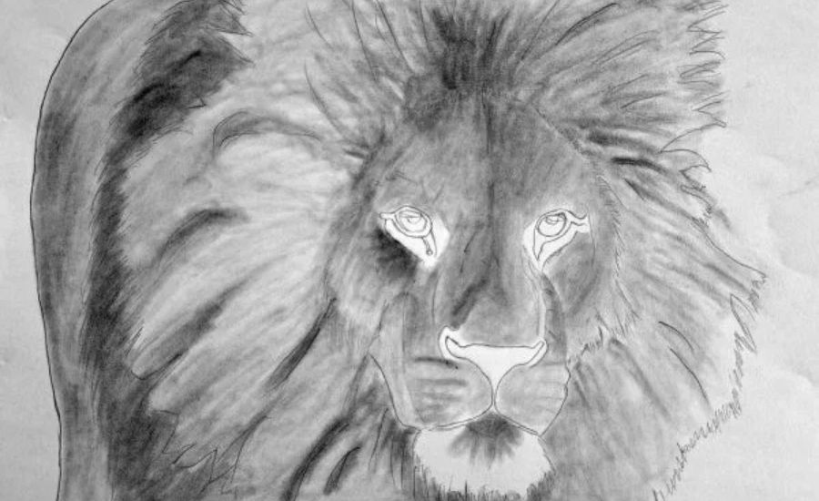 Basic shading and blending