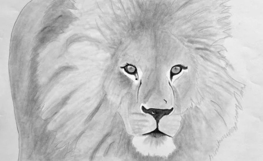 Shading the eyes, nose, and mouth