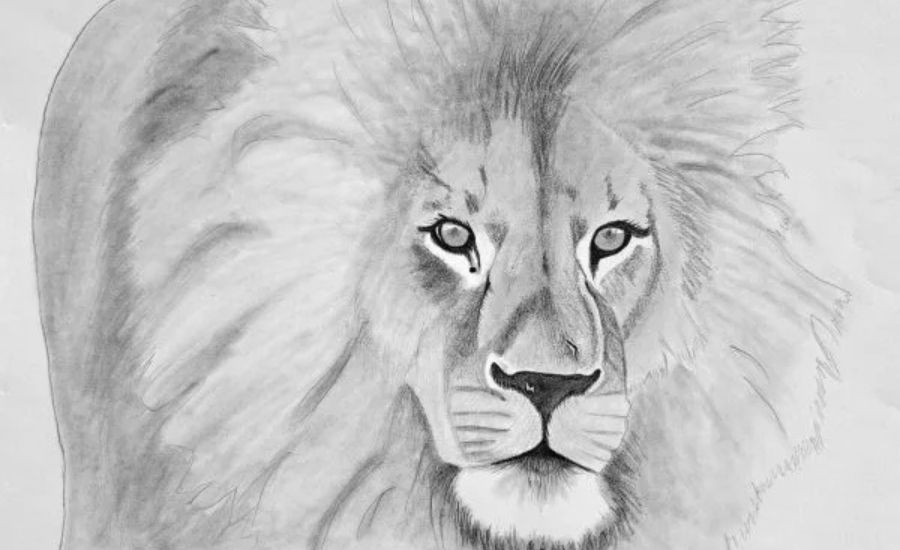 Shading the lion's face