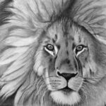 Shading final details including the whiskers