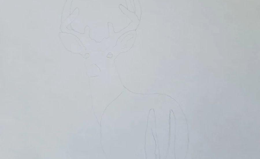 Sketching the general shape in 2D (2H Graphite Pencil)